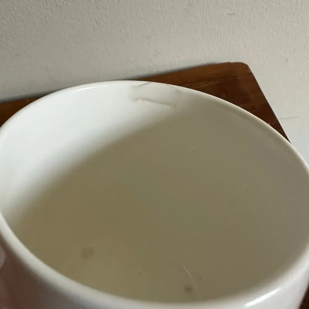 Starbucks 2008 white
